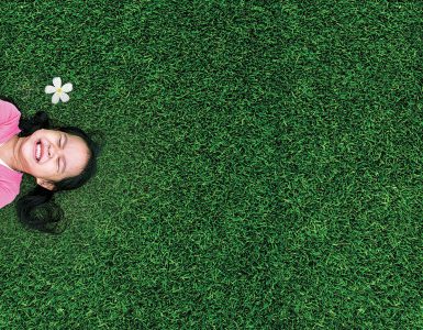 Artificial Turf