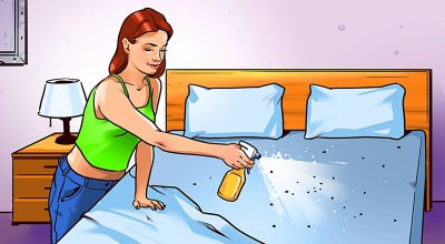 eliminate bed bugs