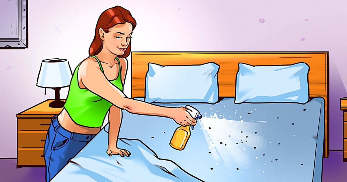 eliminate bed bugs