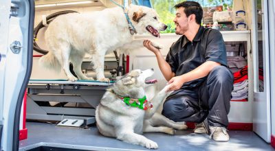 mobile pet grooming Miami beach