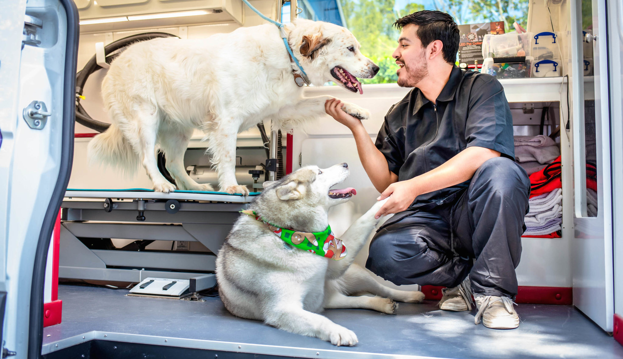 mobile pet grooming Miami beach